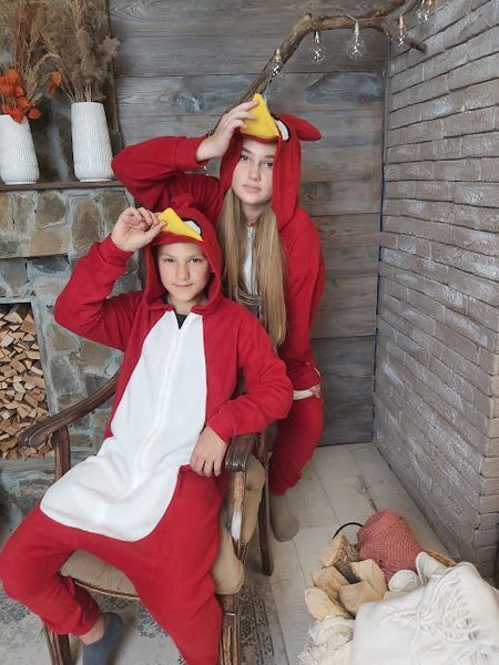 Кігурумі Angry Birds для підлітків /001 фото